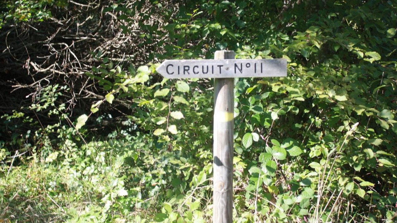 Photo of Others in Le Menil-de-Briouze