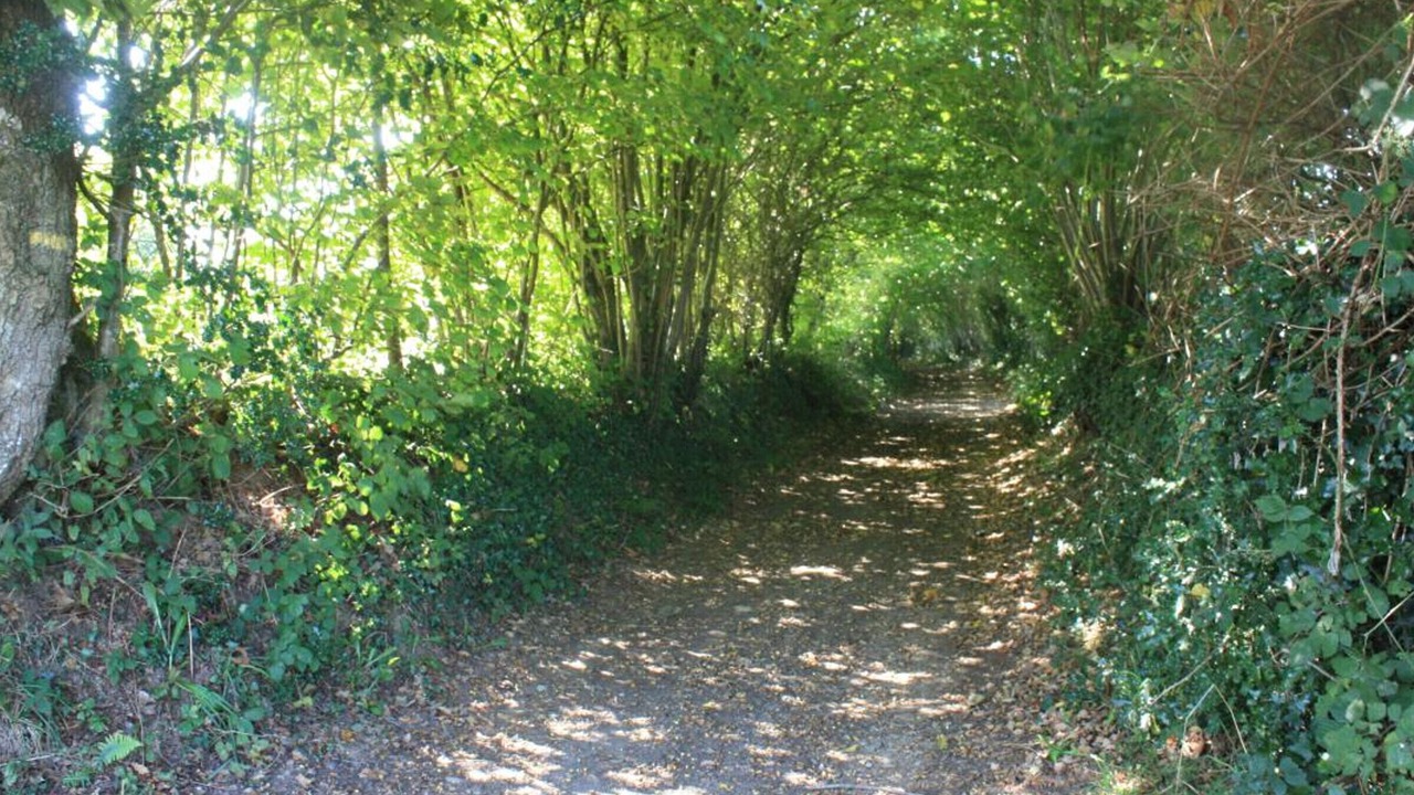 Photo of Outdoor in Le Menil-de-Briouze