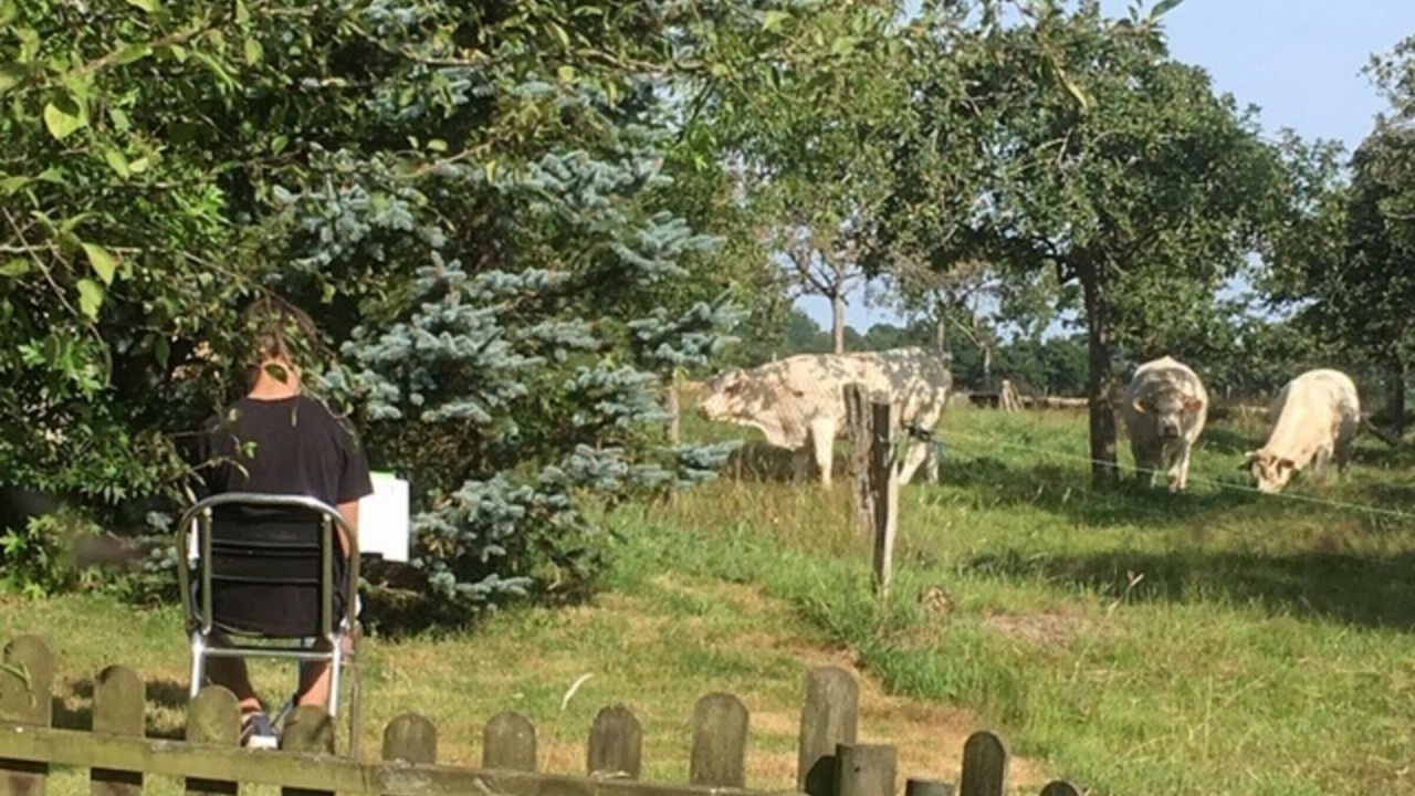 Photo of Outdoor in Le Parc