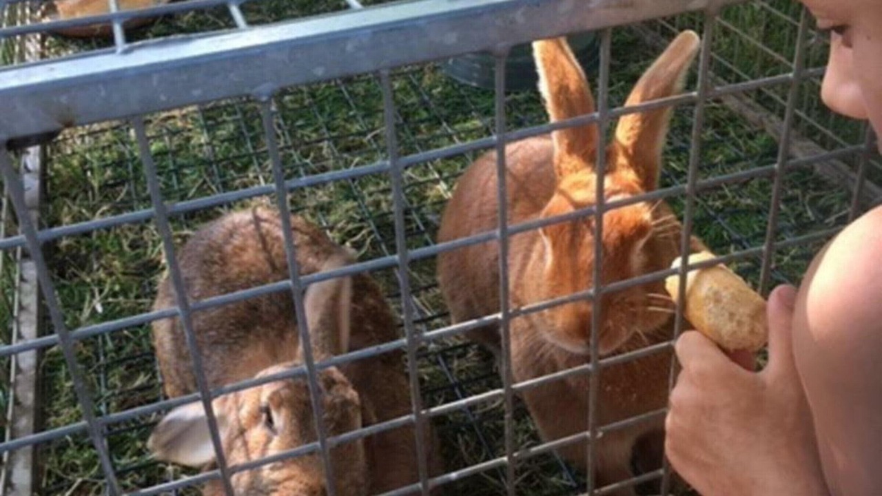 Photo of Outdoor in Le Parc