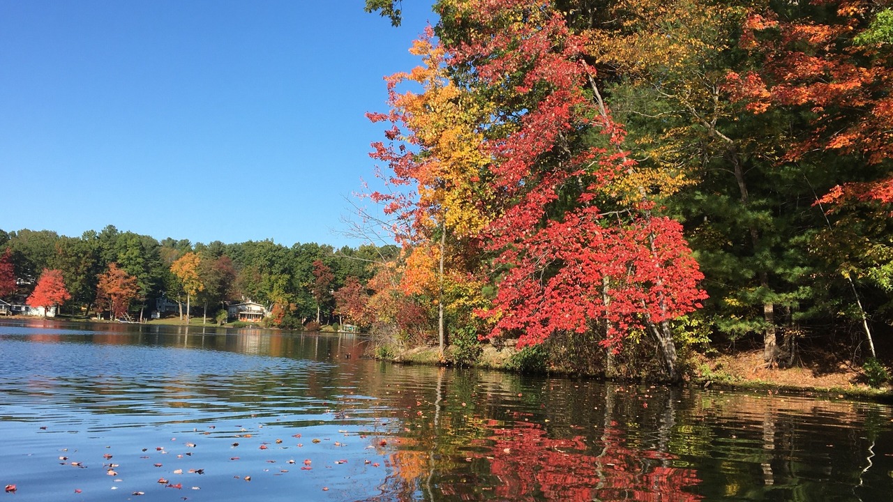 Photo of Outdoor in Niverville
