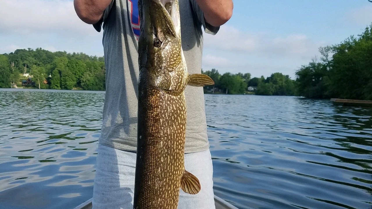 Photo of Others in Niverville