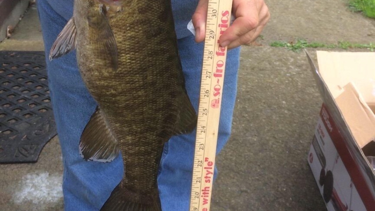 Photo of Others in Niverville