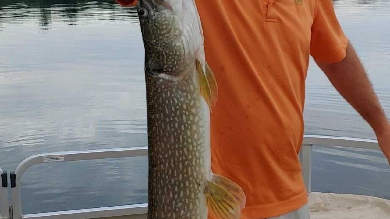 Photo of Others in Niverville