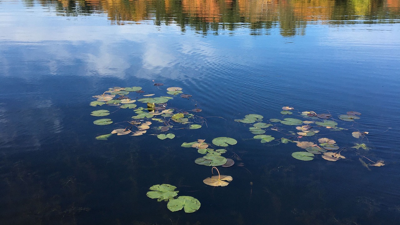 Photo of Others in Niverville
