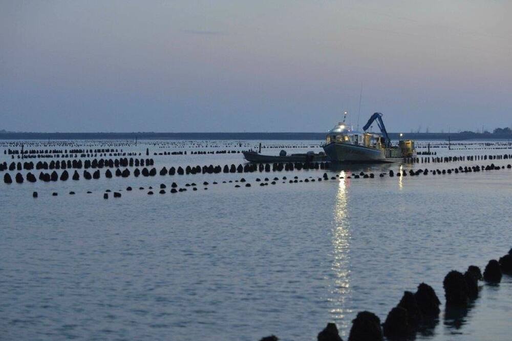 Photo of Others in LʼAiguillon-sur-Mer