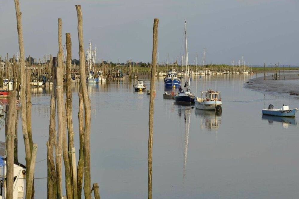 Photo of Others in LʼAiguillon-sur-Mer