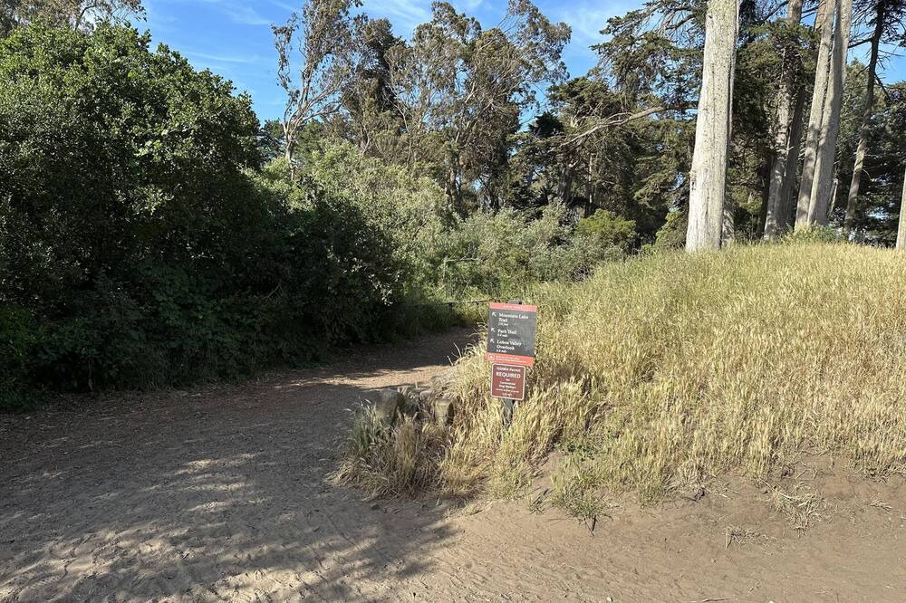 Photo of Outdoor in Inner Richmond