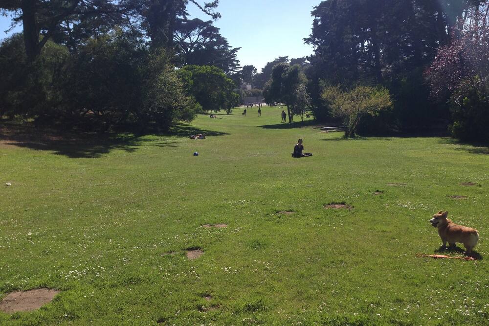 Photo of Outdoor in Inner Richmond