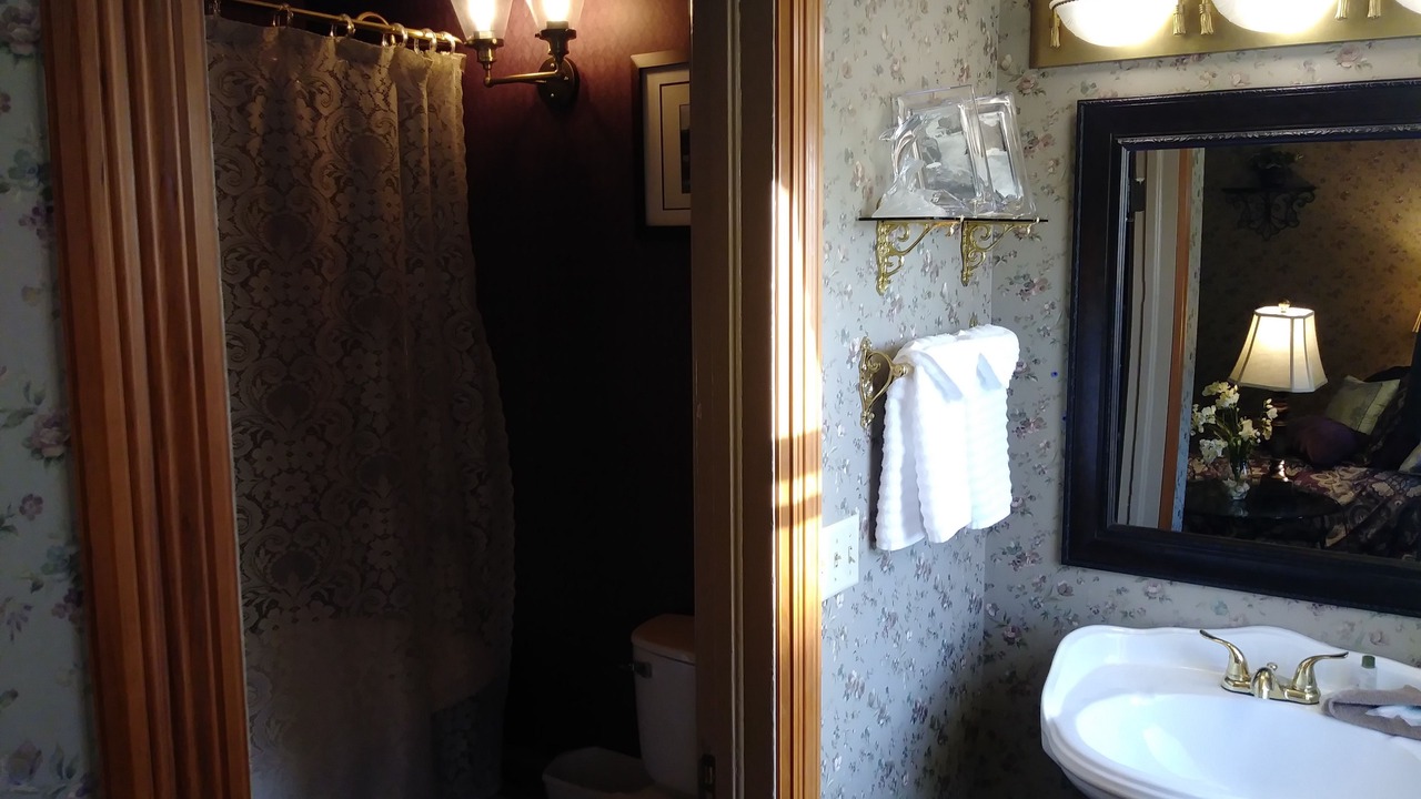 Photo of Bathroom in Annandale