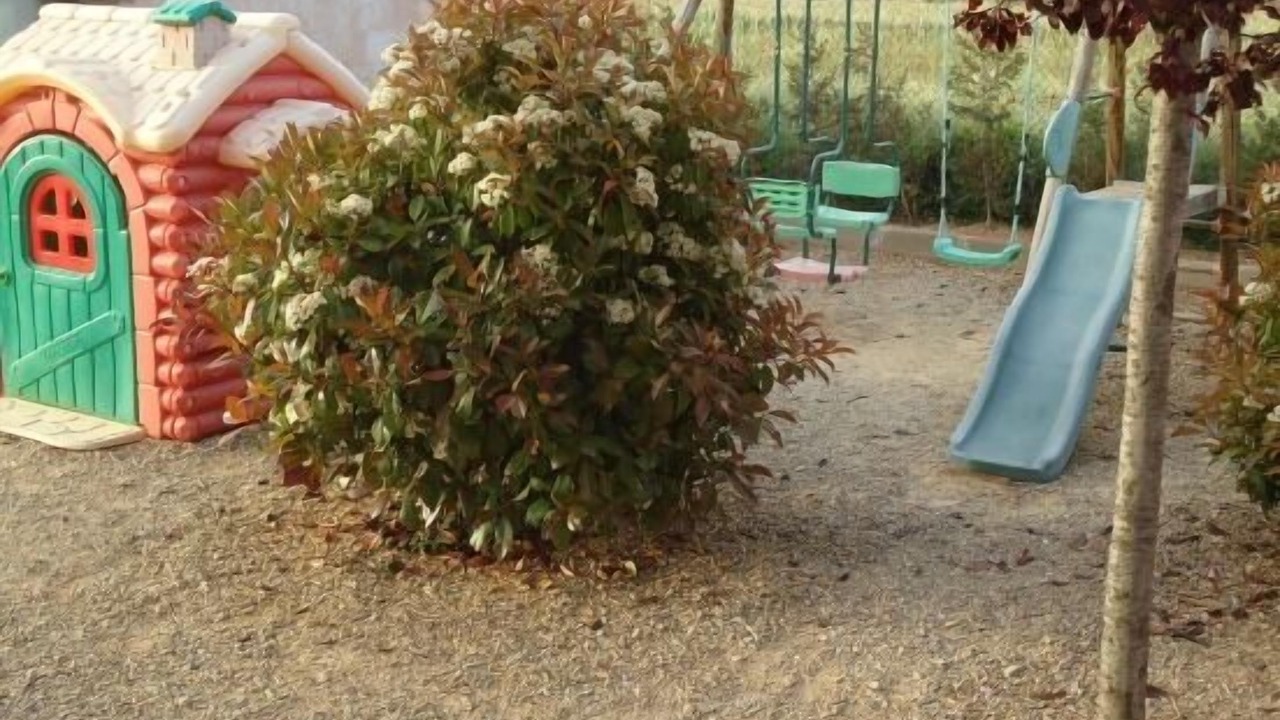Photo of Outdoor in Teruel