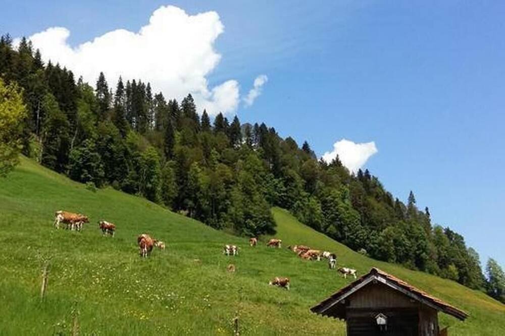 Photo of Others in Escholzmatt