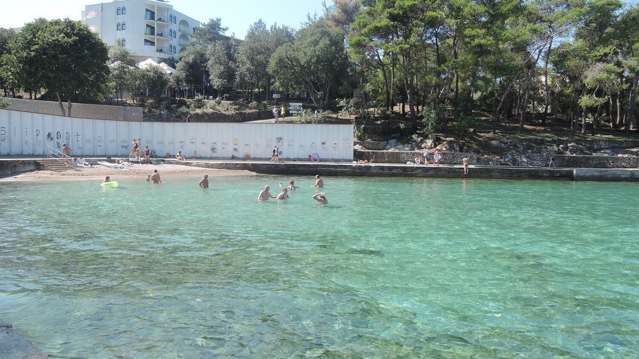 Photo of Others in Milcetici