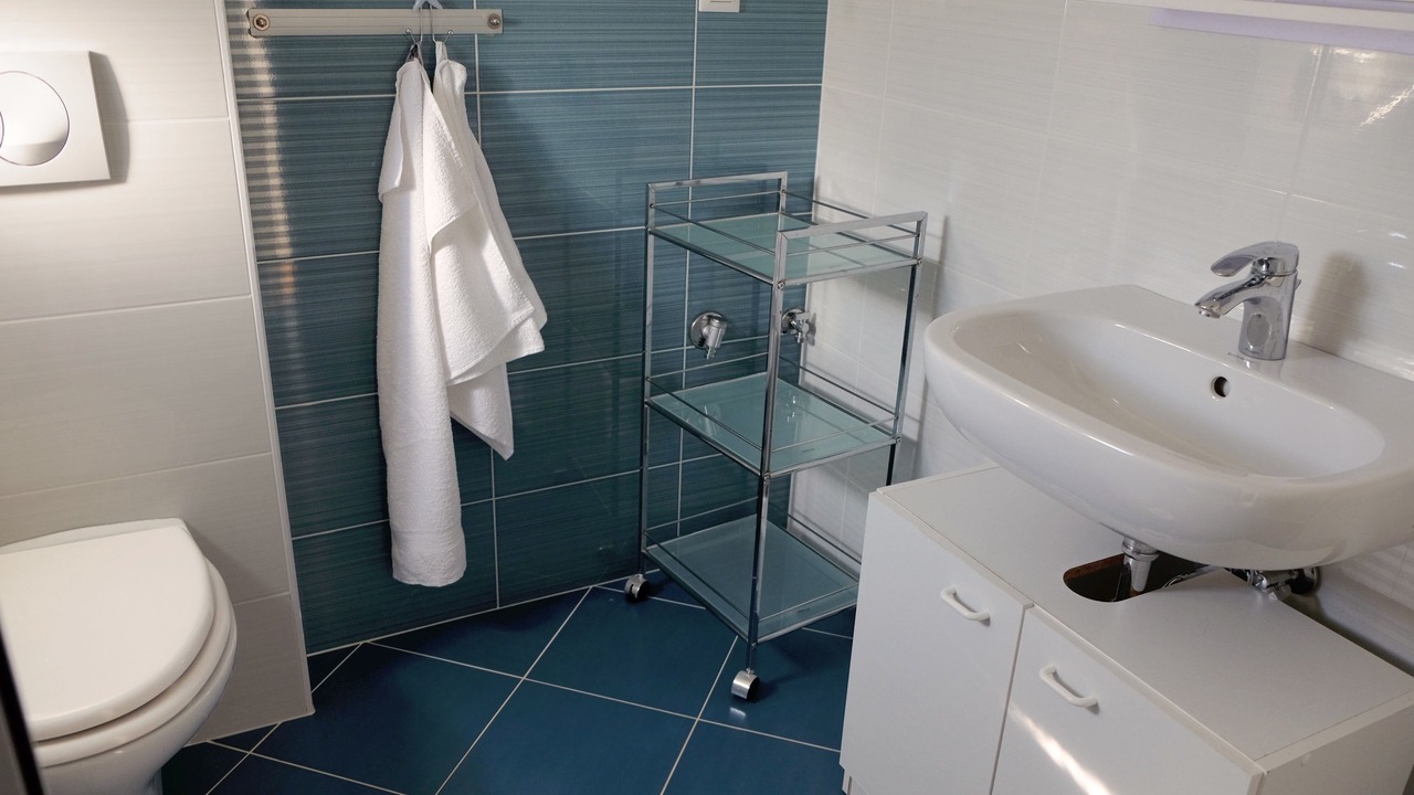 Photo of Bathroom in Milcetici