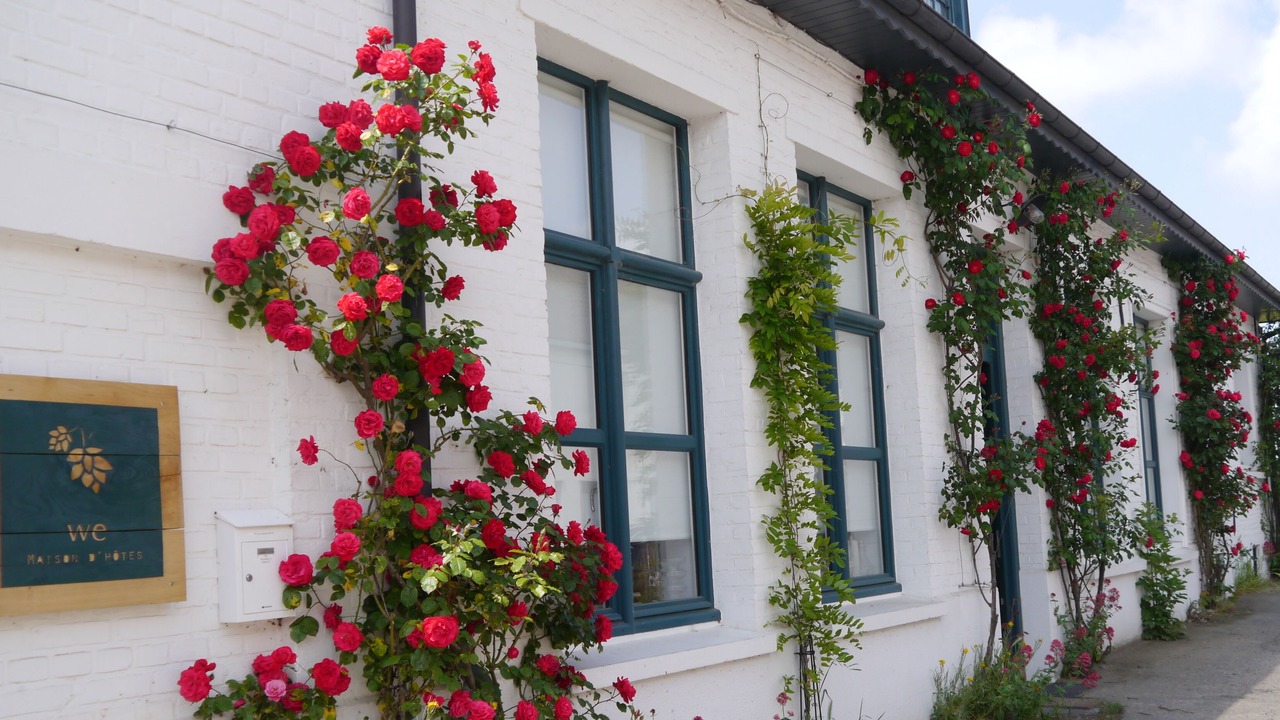 Photo of Outdoor in Winnezeele