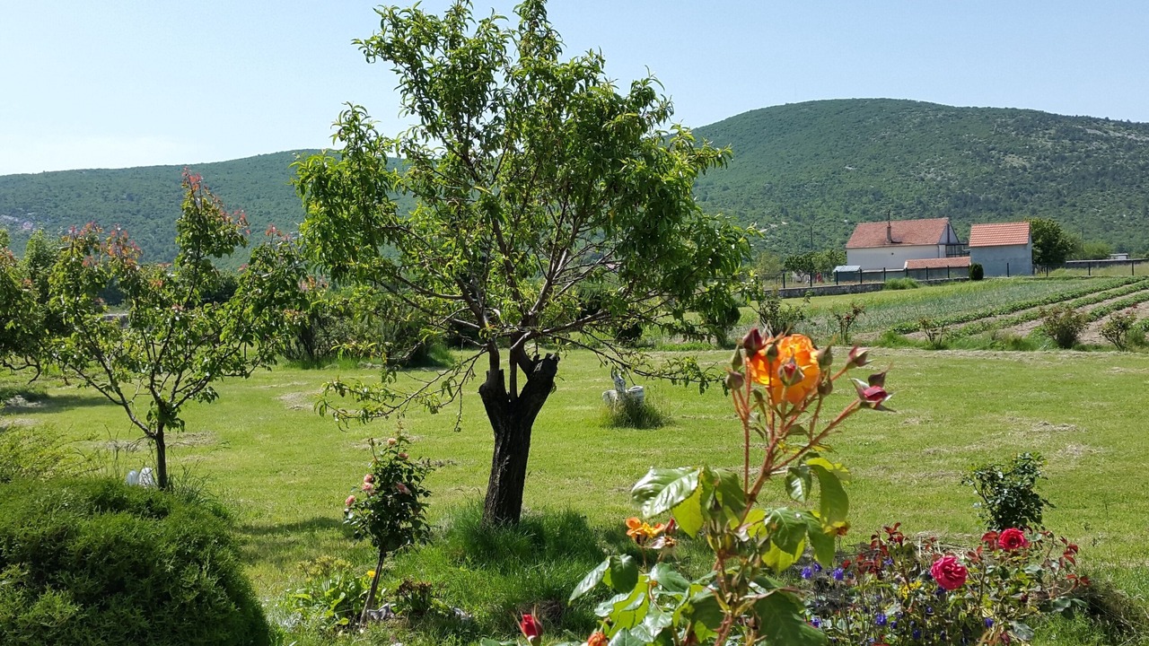 Photo of Outdoor in Neoric