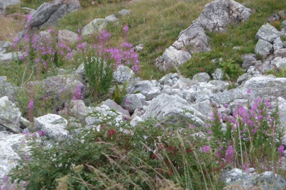 Photo of Outdoor in Saint-Jean-d'Arves