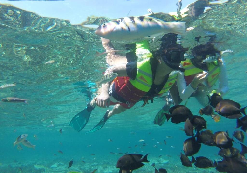 Photo of Others in Ceningan Island