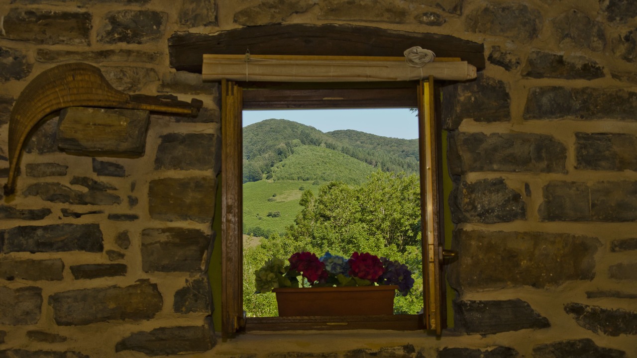 Photo of Others in Areso