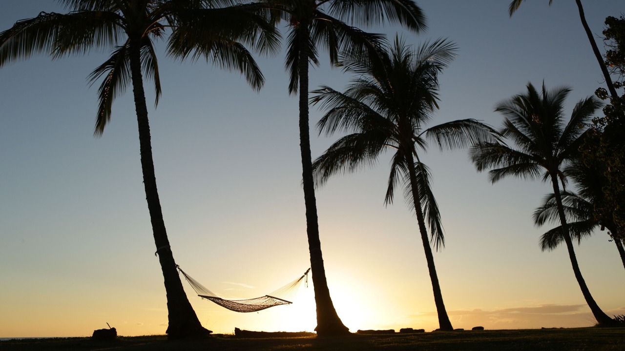 Photo of Others in Waimea