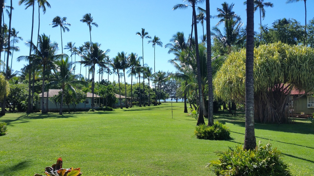 Photo of Outdoor in Waimea