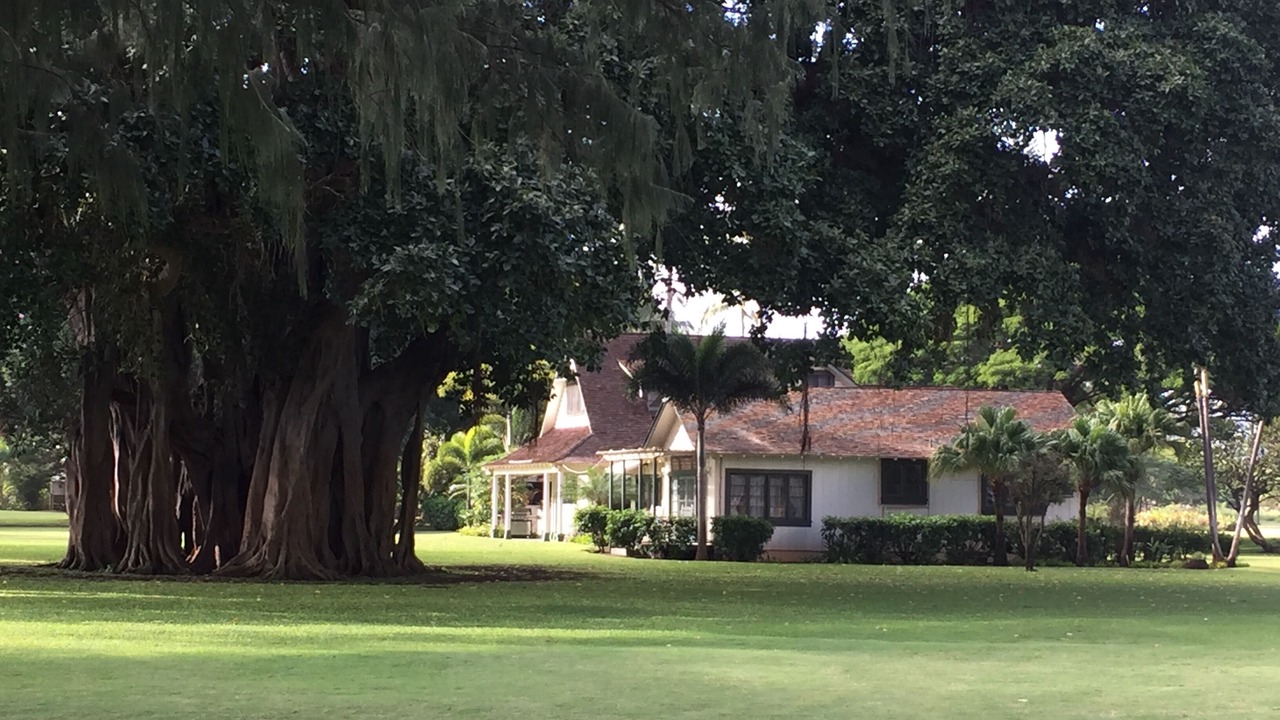 Photo of Outdoor in Waimea