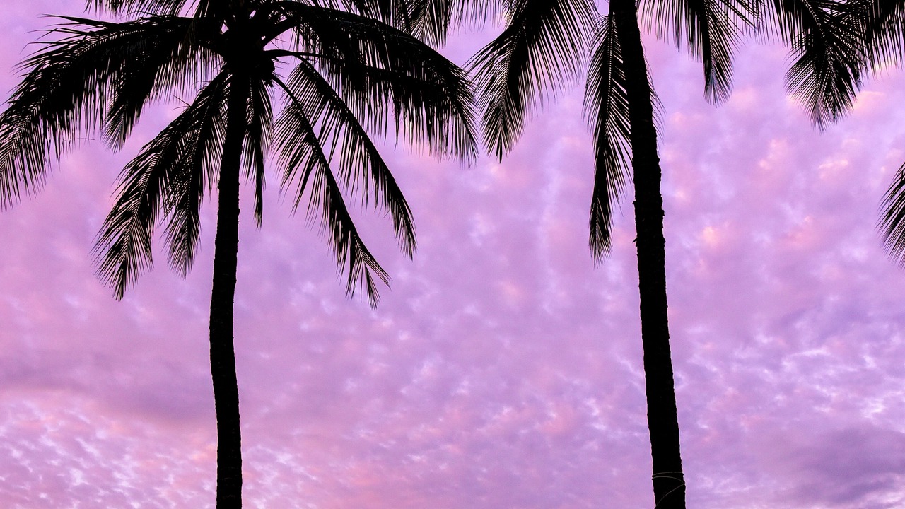 Photo of Others in Waimea