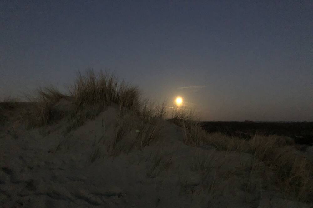 Photo of Outdoor in Fort-Mahon-Plage