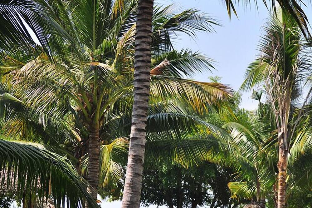 Photo of Outdoor in Sigar Penjalin