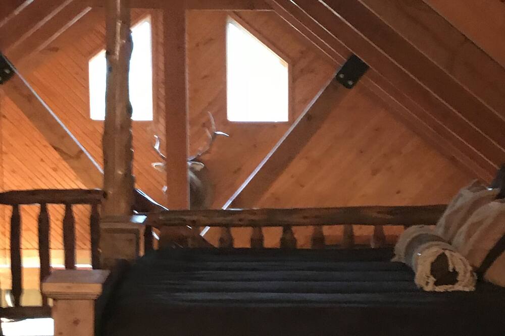 Photo of Bedroom in Antlers