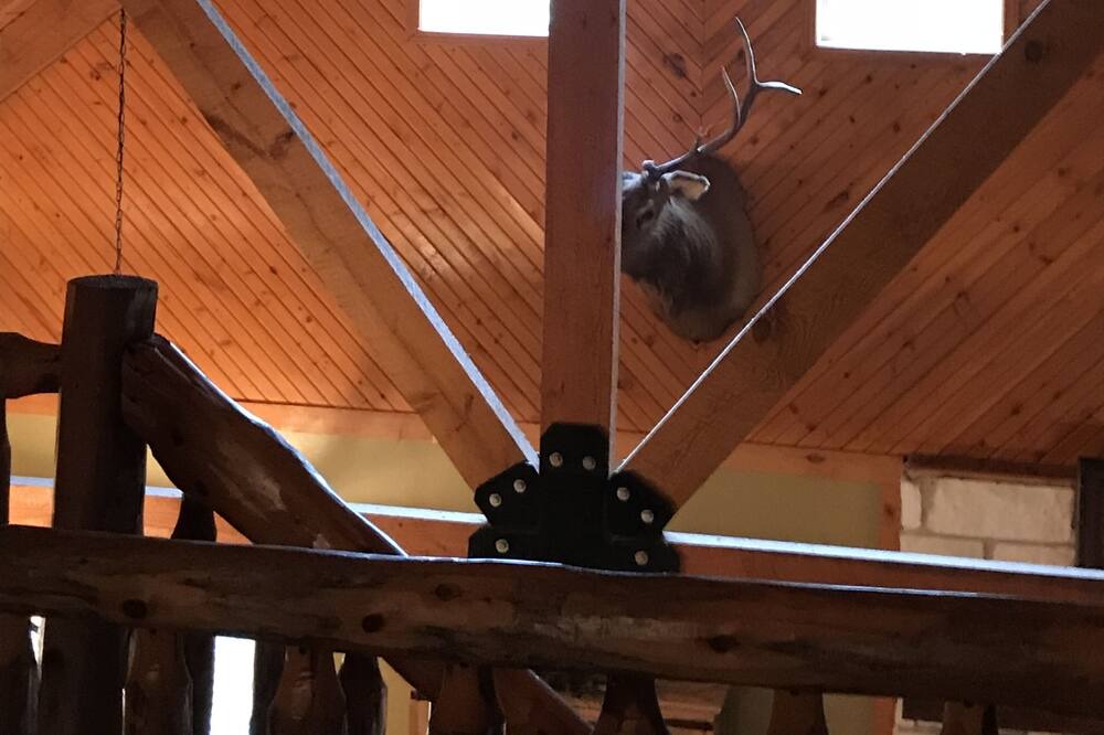 Photo of Others in Antlers