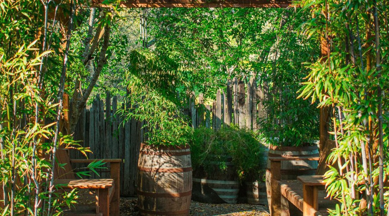 Photo of Outdoor in Anderson Valley