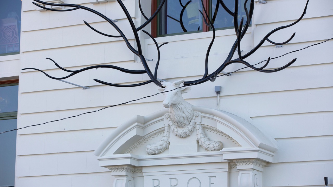 Photo of Outdoor in New Tacoma