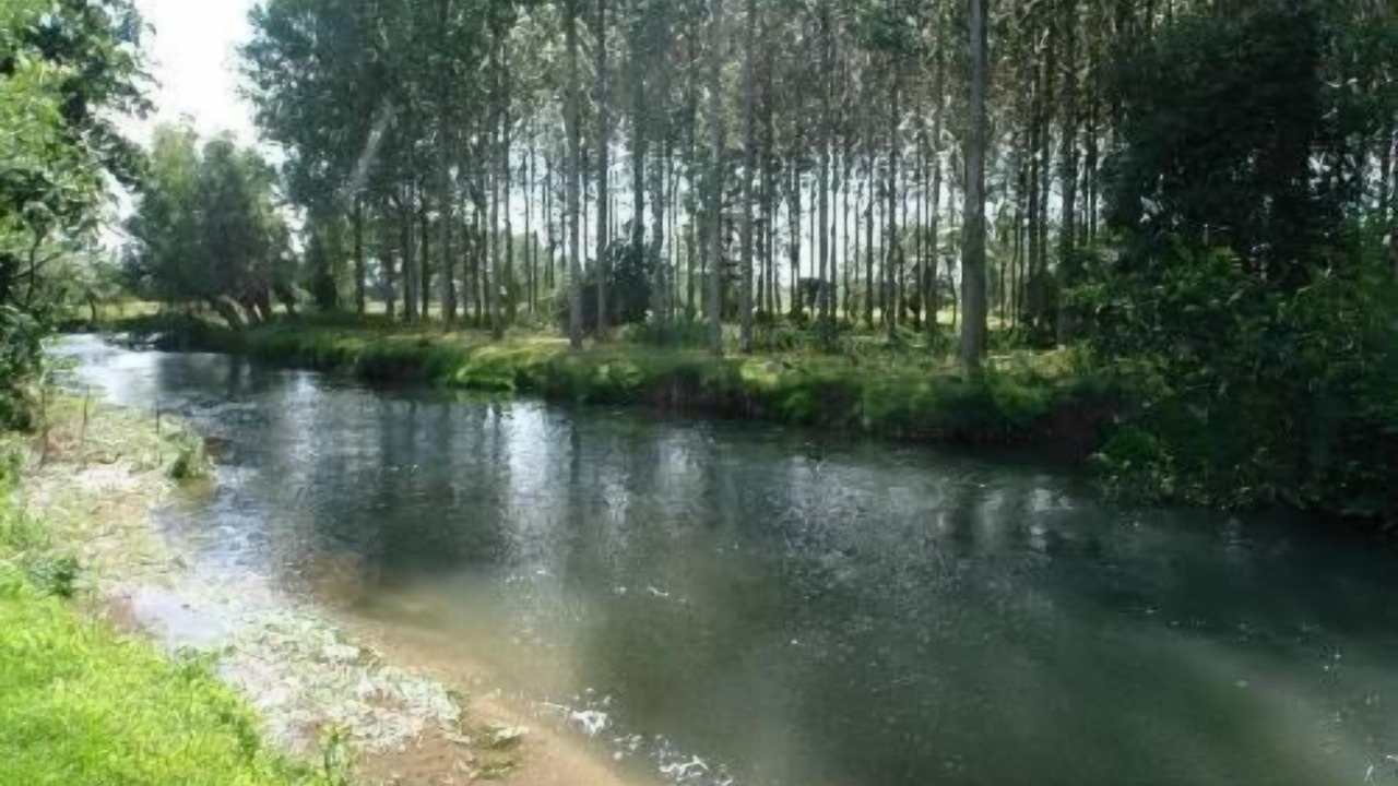 Photo of Outdoor in Tigny-Noyelle