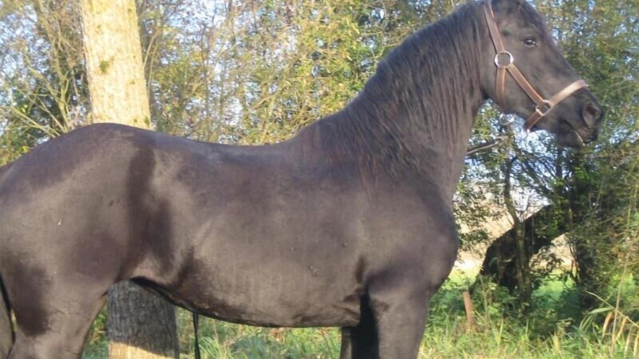 Photo of Outdoor in Tigny-Noyelle