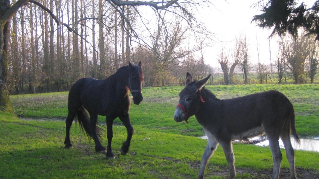 Photo of Outdoor in Tigny-Noyelle
