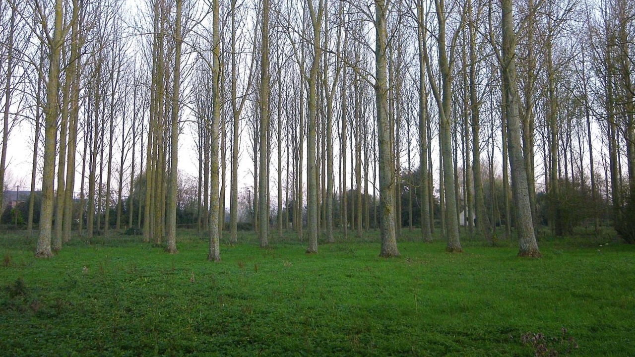 Photo of Outdoor in Tigny-Noyelle