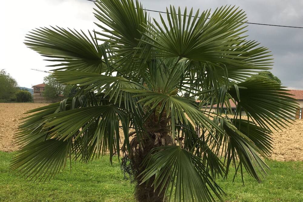 Photo of Outdoor in Hachan