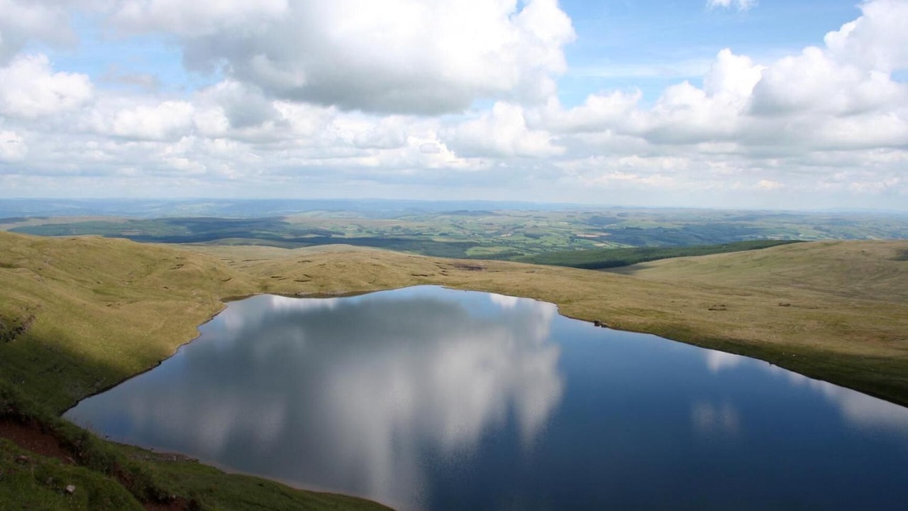 Photo of Others in Llandovery