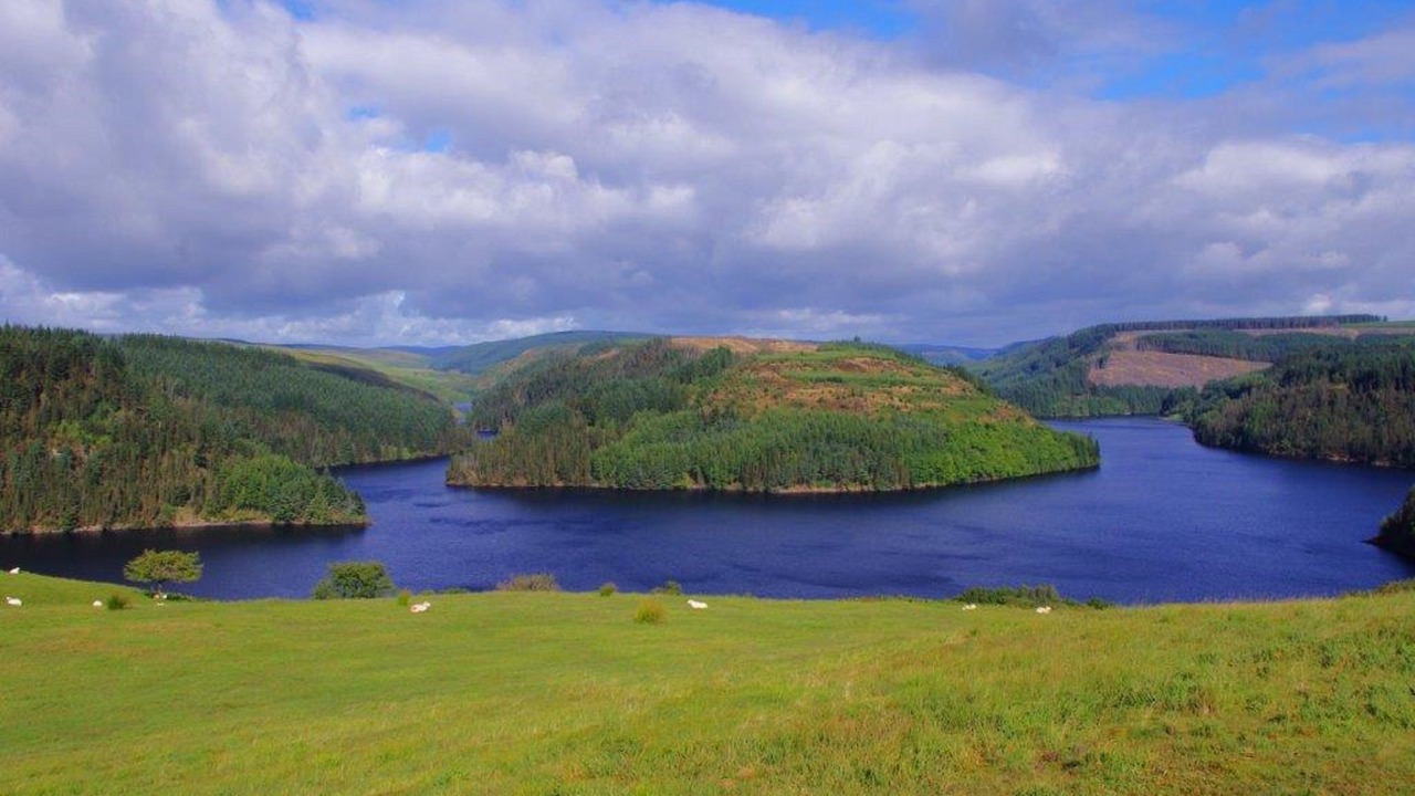 Photo of Others in Llandovery