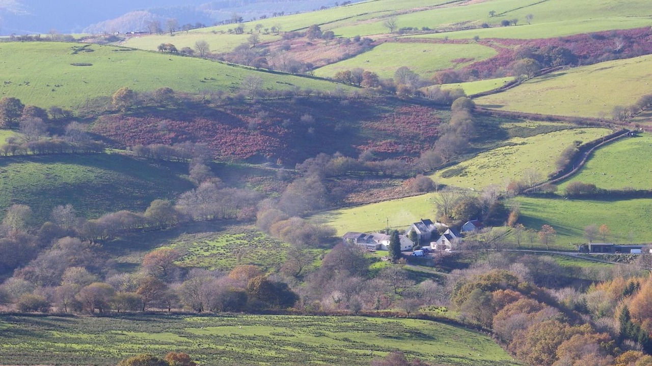 Photo of Outdoor in Llandovery