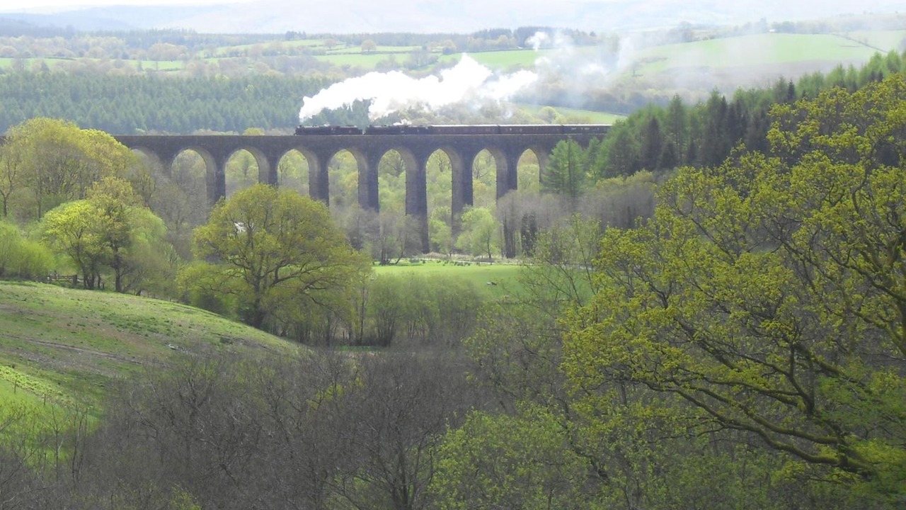 Photo of Others in Llandovery