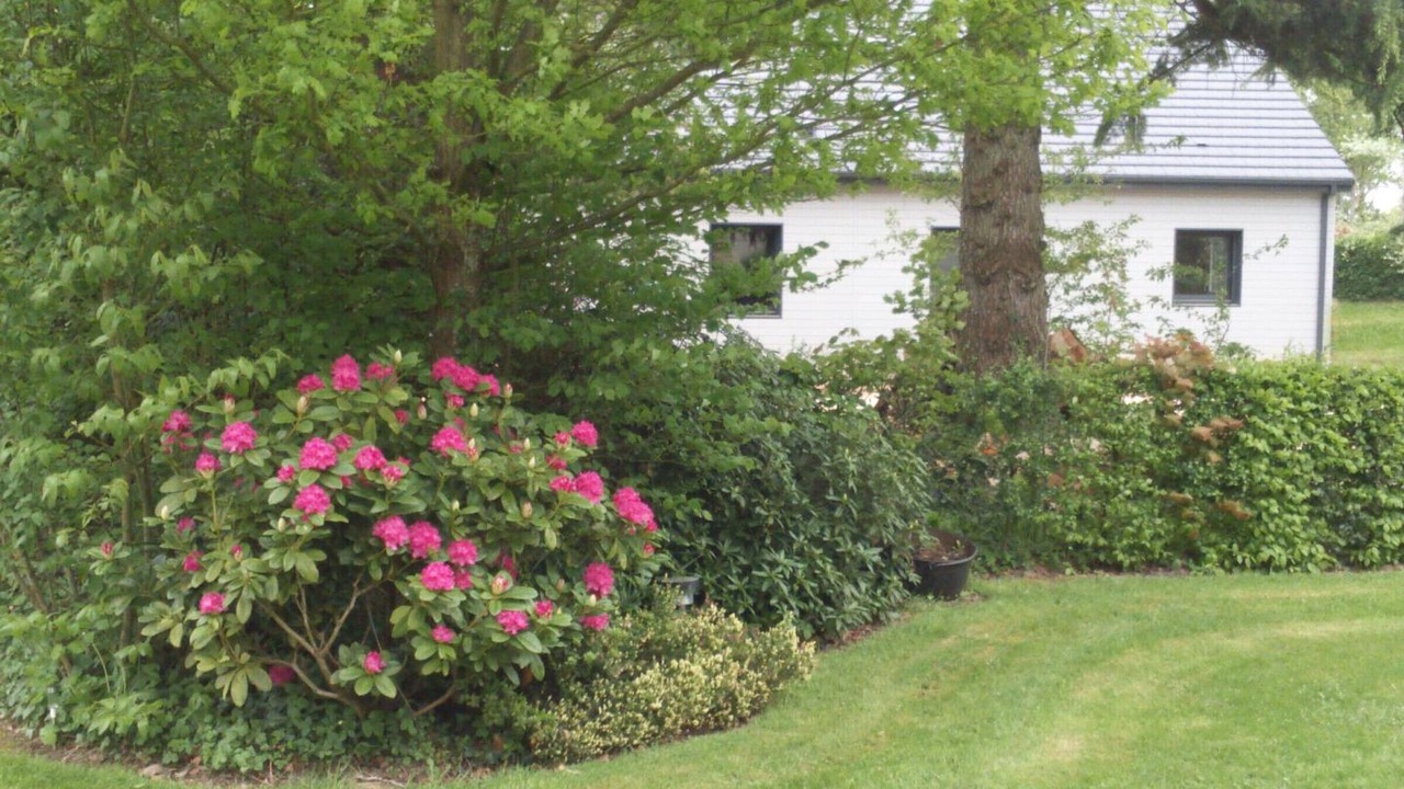 Photo of Outdoor in Saint-Martin-d'Ecublei