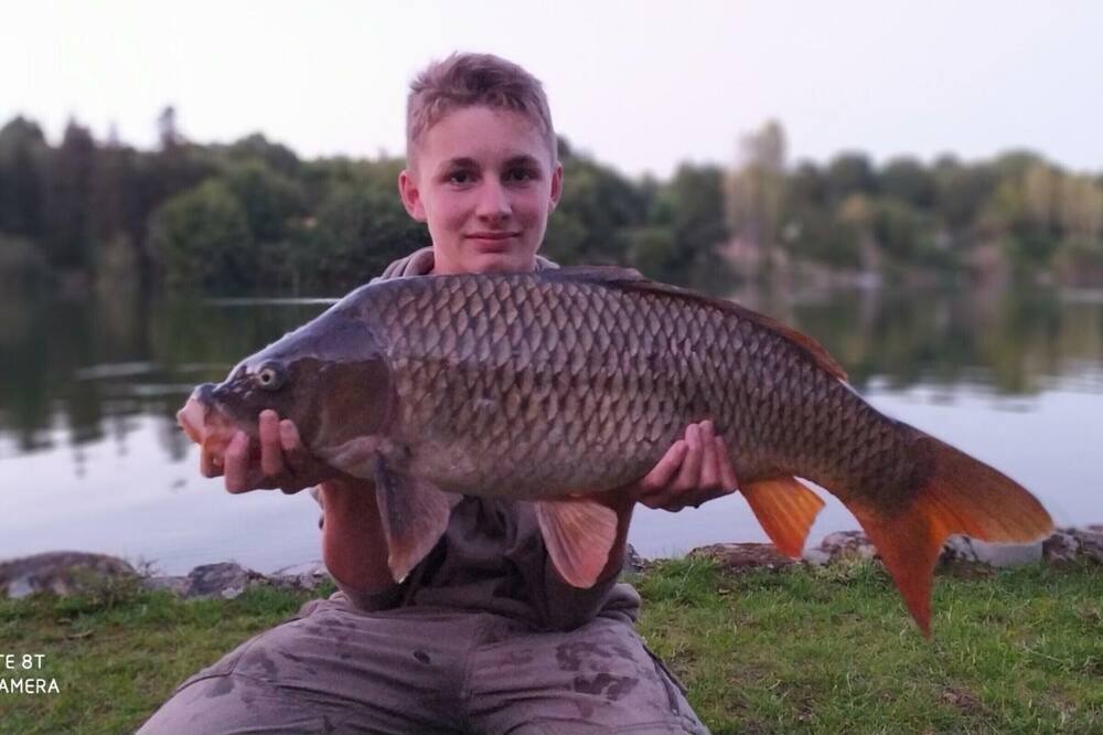 Photo of Outdoor in Putanges-le-Lac