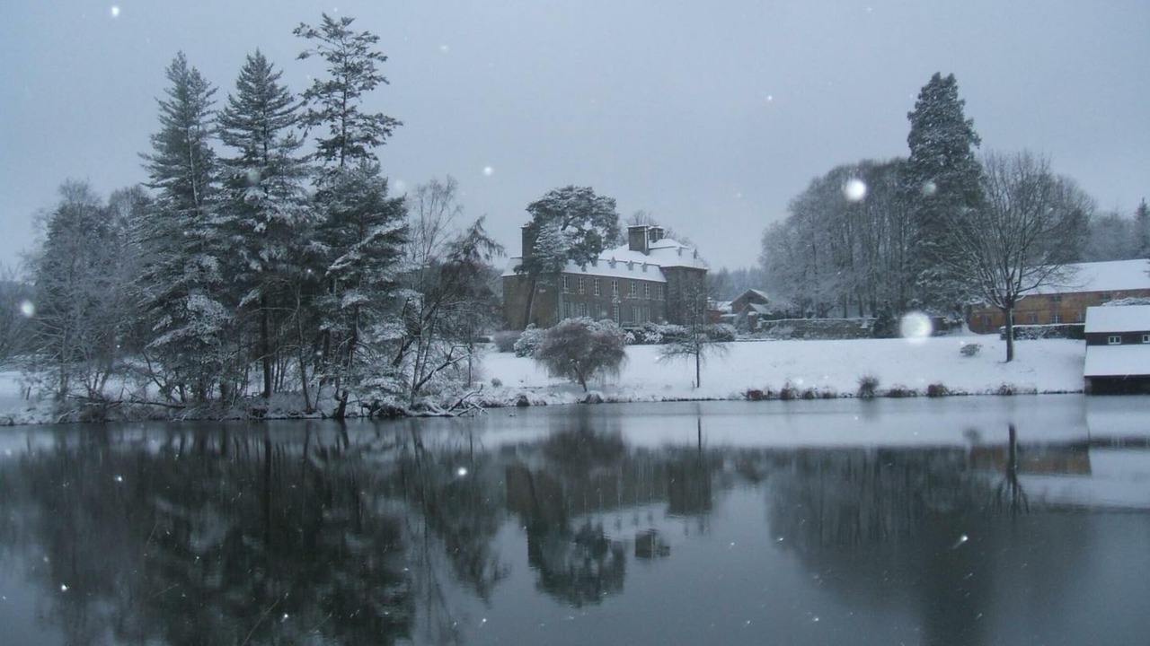 Photo of Others in Le Grais