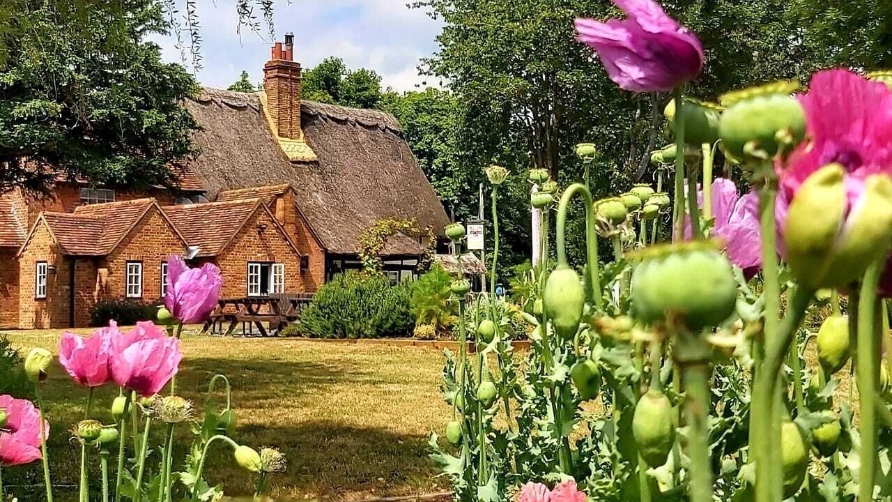 Photo of Buildings in Cuddesdon