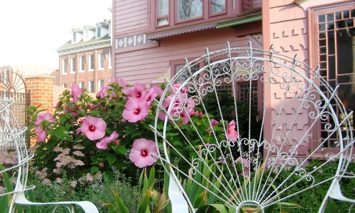 Photo of Outdoor in Milford