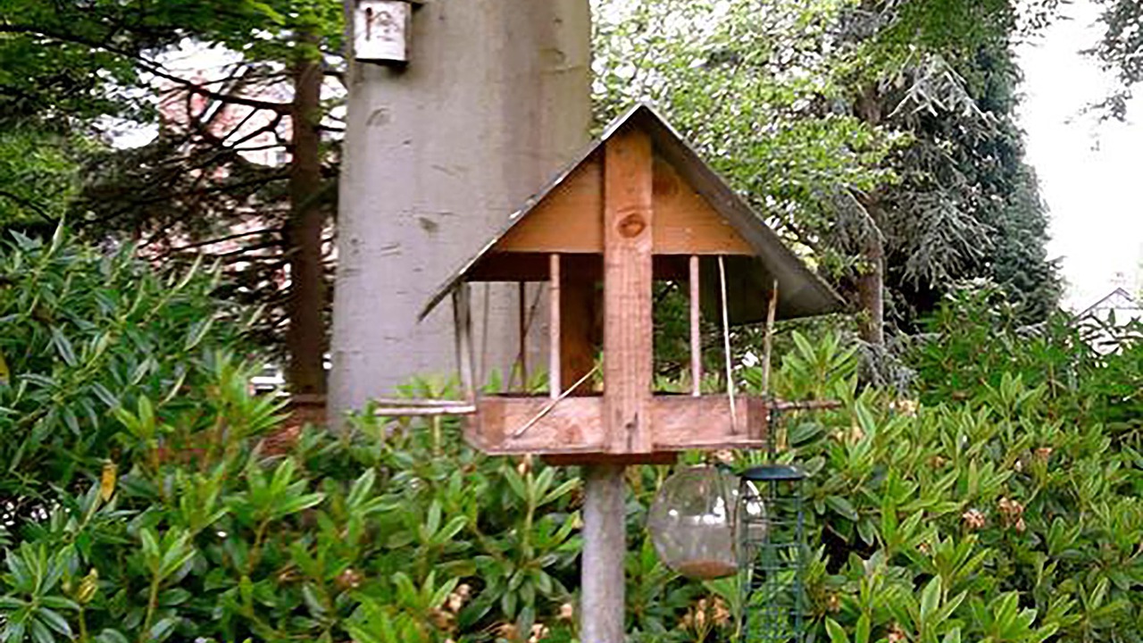 Photo of Outdoor in Trafford