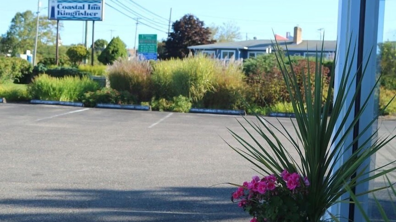 Photo of Outdoor in Digby