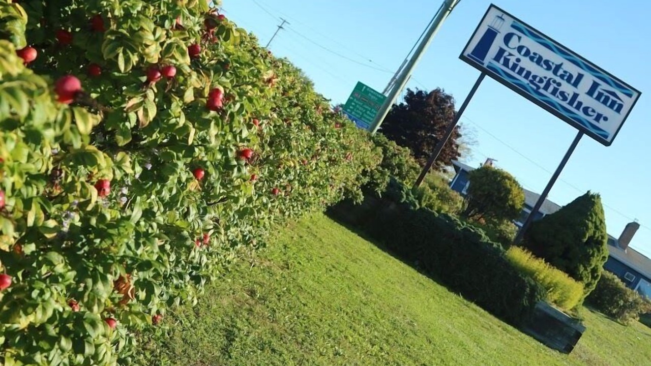 Photo of Outdoor in Digby